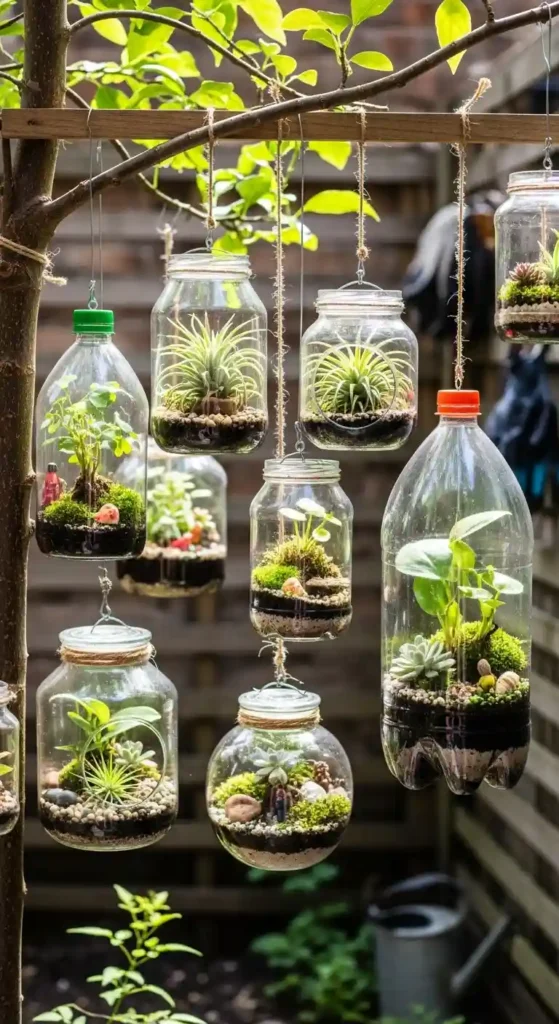 hanging-terrariums