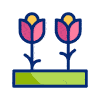 flowers